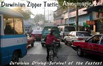 Darwinian Driving Zipper Tactic--foolproof method for cars five-abreast to merge into one lane--though sometimes the zipper gets stuck.  Amoy Magic--Guide to Xiamen and Fujian.  //www.amoymagic.com