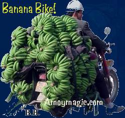 Banana Bike--hundreds of pounds of bananas on this motorcycle!  Amoy Magic--Guide to Xiamen and Fujian.  //www.amoymagic.com  