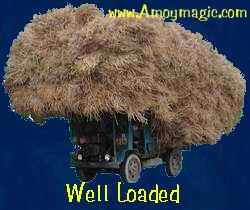 Hay Wagon--well loaded!  Amoy Magic--Guide to Xiamen and Fujian.  //www.amoymagic.com
